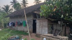 Hidup di Rumah Gribik Sederhana, Keluarga Ardiyono di Pekon Sukoyoso Berharap Perhatian Pemerintah