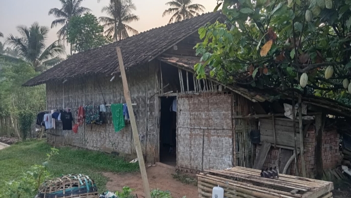 Hidup di Rumah Gribik Sederhana, Keluarga Ardiyono di Pekon Sukoyoso Berharap Perhatian Pemerintah
