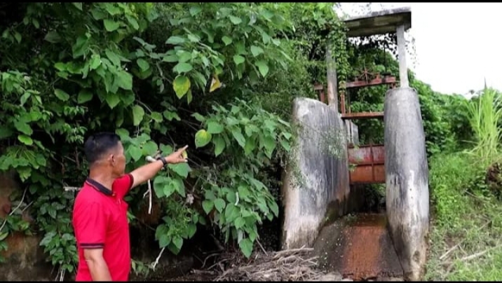10 Tahun Terbengkalai, Bendungan Way Bambang Rusak Parah: Petani Tanjung Kemala Merugi Puluhan Juta, Pemerintah Diminta Segera Bertindak
