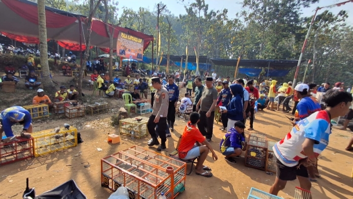 700 Penghobi Merpati Kolong Ramaikan Bhayangkara Cup di Pringsewu, Perebutkan Hadiah Rp50 Juta