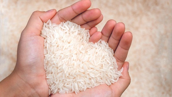 Pemkab Pringsewu Salurkan Bantuan Pangan Beras Tahap II Di Pekon Blitarejo Gadingrejo