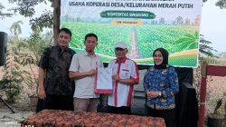 Berjalan Sukses, Fasilitasi Penguatan Jaringan Usaha KDKMP Komoditas Singkong Di Pringsewu Resmi Ditutup