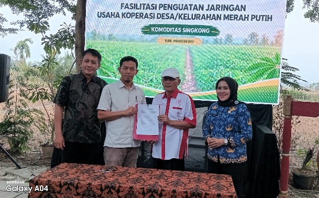 Berjalan Sukses, Fasilitasi Penguatan Jaringan Usaha KDKMP Komoditas Singkong Di Pringsewu Resmi Ditutup