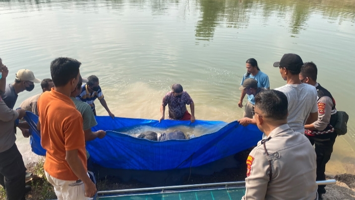 Warga Pasir ukir, Ditemukan Mengapung dan Meninggal di Way Sekampung 